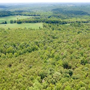 Photo #37 of SOLD property in 1074 Coon Trail, South Boston, VA 253.0 acres