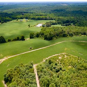 Photo #38 of SOLD property in 1074 Coon Trail, South Boston, VA 253.0 acres
