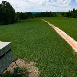 Photo #39 of SOLD property in 1074 Coon Trail, South Boston, VA 253.0 acres