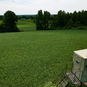 Photo #40 of SOLD property in 1074 Coon Trail, South Boston, VA 253.0 acres