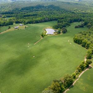 Photo #41 of SOLD property in 1074 Coon Trail, South Boston, VA 253.0 acres