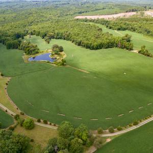 Photo #42 of SOLD property in 1074 Coon Trail, South Boston, VA 253.0 acres