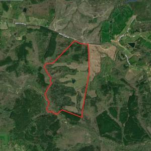Photo #1 of SOLD property in 1074 Coon Trail, South Boston, VA 253.0 acres