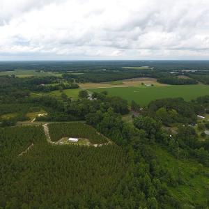 Photo #2 of SOLD property in Off Lee Road, Gibson, NC 13.7 acres