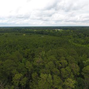Photo #7 of SOLD property in Off Lee Road, Gibson, NC 13.7 acres