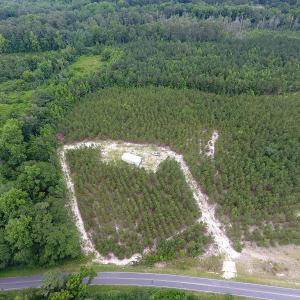 Photo #9 of SOLD property in Off Lee Road, Gibson, NC 13.7 acres