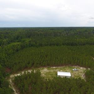 Photo #10 of SOLD property in Off Lee Road, Gibson, NC 13.7 acres