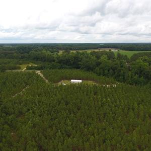 Photo #12 of SOLD property in Off Lee Road, Gibson, NC 13.7 acres