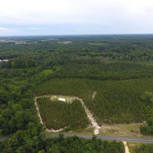 Photo #13 of SOLD property in Off Lee Road, Gibson, NC 13.7 acres