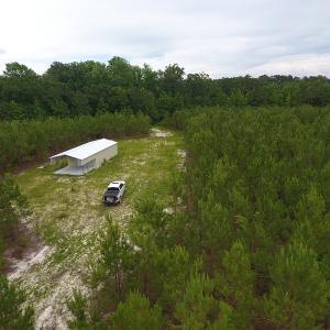 Photo #15 of SOLD property in Off Lee Road, Gibson, NC 13.7 acres