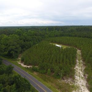 Photo #4 of SOLD property in Off Lee Road, Gibson, NC 13.7 acres