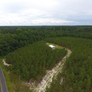 Photo #5 of SOLD property in Off Lee Road, Gibson, NC 13.7 acres