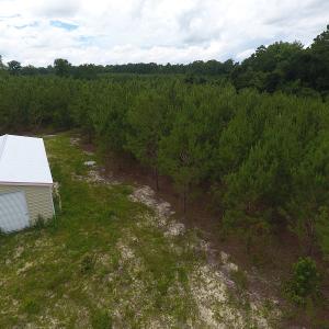 Photo #19 of SOLD property in Off Lee Road, Gibson, NC 13.7 acres
