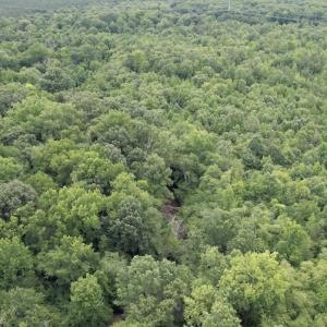 Photo #11 of SOLD property in Off Old Stage Road, Dinwiddie, VA 107.0 acres