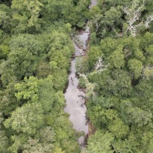 Photo #15 of SOLD property in Off Old Stage Road, Dinwiddie, VA 107.0 acres