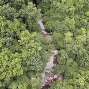 Photo #16 of SOLD property in Off Old Stage Road, Dinwiddie, VA 107.0 acres