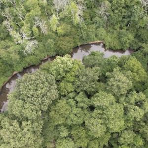 Photo #17 of SOLD property in Off Old Stage Road, Dinwiddie, VA 107.0 acres