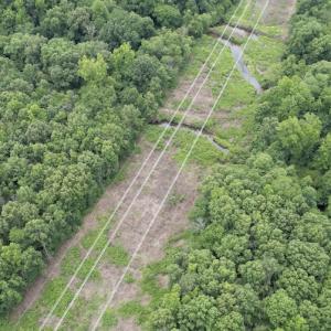 Photo #18 of SOLD property in Off Old Stage Road, Dinwiddie, VA 107.0 acres
