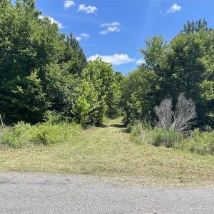 Photo #19 of SOLD property in Off Old Stage Road, Dinwiddie, VA 107.0 acres