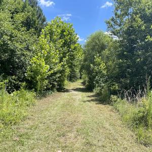 Photo #20 of SOLD property in Off Old Stage Road, Dinwiddie, VA 107.0 acres
