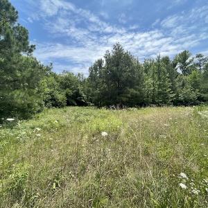 Photo #22 of SOLD property in Off Old Stage Road, Dinwiddie, VA 107.0 acres