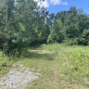 Photo #24 of SOLD property in Off Old Stage Road, Dinwiddie, VA 107.0 acres