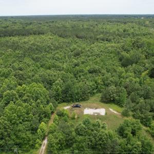 Photo #3 of SOLD property in Off Old Stage Road, Dinwiddie, VA 107.0 acres