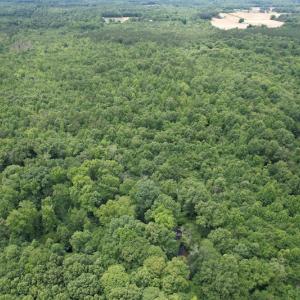Photo #5 of SOLD property in Off Old Stage Road, Dinwiddie, VA 107.0 acres