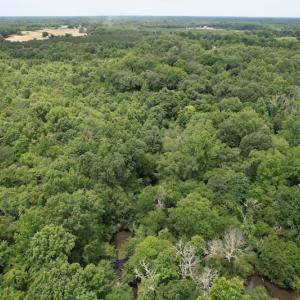 Photo #6 of SOLD property in Off Old Stage Road, Dinwiddie, VA 107.0 acres