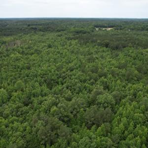 Photo #8 of SOLD property in Off Old Stage Road, Dinwiddie, VA 107.0 acres