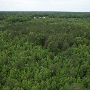 Photo #9 of SOLD property in Off Old Stage Road, Dinwiddie, VA 107.0 acres