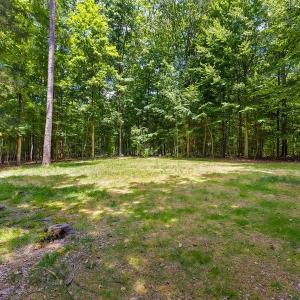 Photo #48 of SOLD property in 13019 Carters Hill Court, Chesterfield, VA 2.5 acres