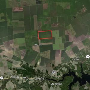 Photo #38 of SOLD property in Off Bay City Road, Bayboro, NC 352.0 acres
