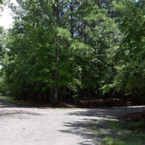 Photo #7 of SOLD property in Off Bay City Road, Bayboro, NC 352.0 acres