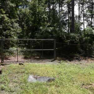Photo #8 of SOLD property in Off Bay City Road, Bayboro, NC 352.0 acres
