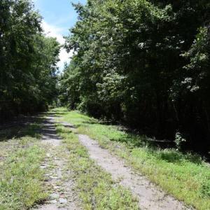 Photo #9 of SOLD property in Off Bay City Road, Bayboro, NC 352.0 acres