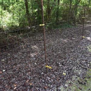 Photo #10 of SOLD property in Off Bay City Road, Bayboro, NC 352.0 acres