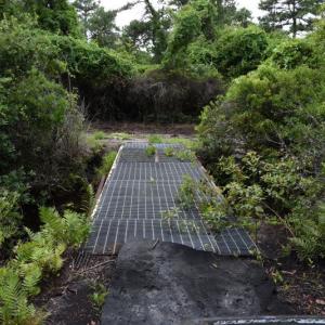 Photo #12 of SOLD property in Off Bay City Road, Bayboro, NC 352.0 acres