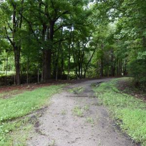 Photo #14 of SOLD property in Off Bay City Road, Bayboro, NC 352.0 acres