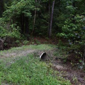 Photo #15 of SOLD property in Off Bay City Road, Bayboro, NC 352.0 acres