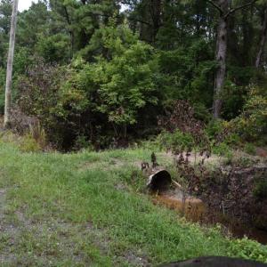 Photo #16 of SOLD property in Off Bay City Road, Bayboro, NC 352.0 acres