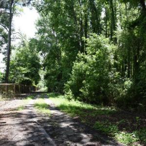 Photo #17 of SOLD property in Off Bay City Road, Bayboro, NC 352.0 acres
