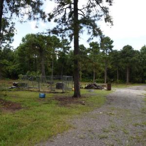 Photo #18 of SOLD property in Off Bay City Road, Bayboro, NC 352.0 acres