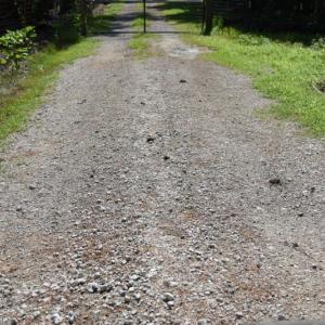Photo #20 of SOLD property in Off Bay City Road, Bayboro, NC 352.0 acres