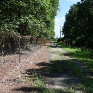 Photo #23 of SOLD property in Off Bay City Road, Bayboro, NC 352.0 acres
