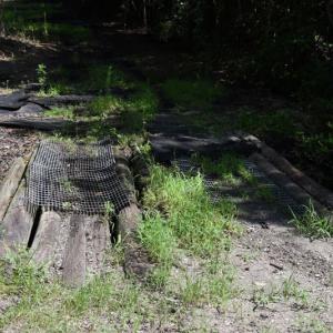 Photo #24 of SOLD property in Off Bay City Road, Bayboro, NC 352.0 acres