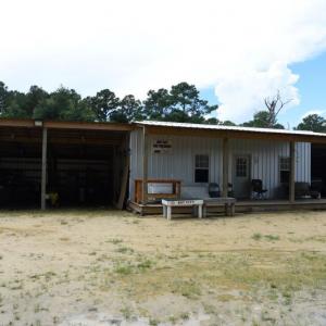 Photo #26 of SOLD property in Off Bay City Road, Bayboro, NC 352.0 acres