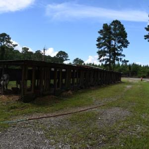 Photo #28 of SOLD property in Off Bay City Road, Bayboro, NC 352.0 acres