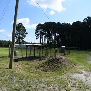 Photo #31 of SOLD property in Off Bay City Road, Bayboro, NC 352.0 acres