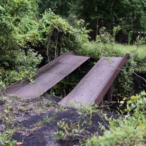 Photo #36 of SOLD property in Off Bay City Road, Bayboro, NC 352.0 acres
